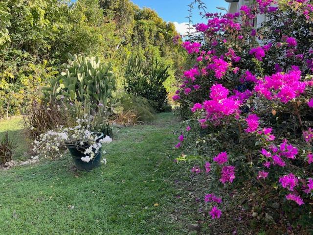 Jardin des Anges-Ch. Rose Lejlighed Le Moule Eksteriør billede